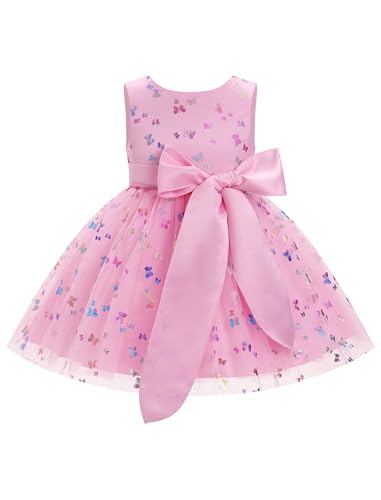 Baby Girl 3t 4t 5t Butterfly Tulle Dress with Big