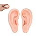 Silicone Ear Model, Flexible Left and Right Model for Ear Piercing, Silicone Body Parts, Silicone Ear (Light Skin Colour)