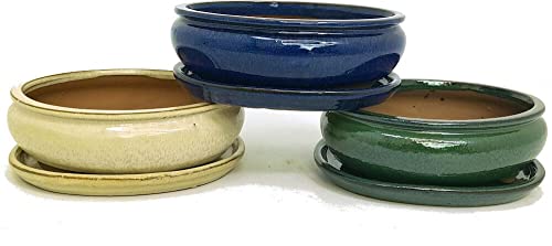 Garden Center shop by VM Tiesto DE CERÁMICA Oval para Bonsai 21x16x9 Color Azul