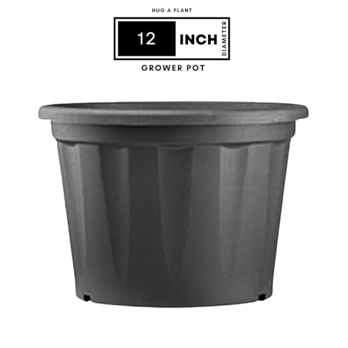 Hug A Plant | Heavy Duty Black Plastic Planter | Grower Pot/Garden Pot with Black Tray for Home & Garden (12INCH | 30CM) (Pack of 1)