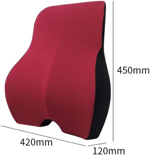 VIDI Office Memory Long Sitting Waist Cushion Polyester Support Pillow(Gray)