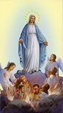 Novena Prayers for the Souls in Purgatory - Laminated holy card - Pack of 25
