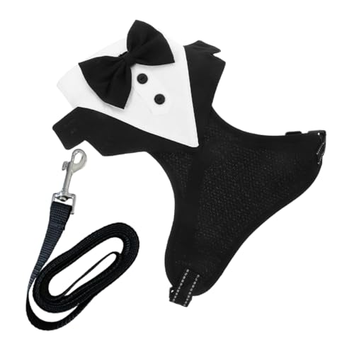 PENIKOKO \ȃbVfނ̌pn[lX ^LV[hfUC ʋC [V̌^ p[eB[Ȃǂ̓ʂȏʂ K̃hXAbvACe