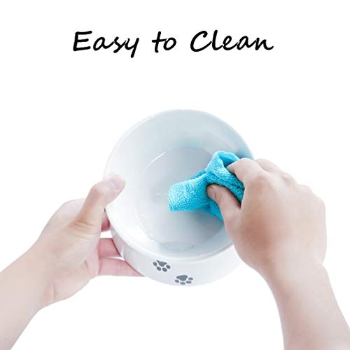 Raised Cat Bowl Elevated Slow Feeder No Spill Melamine Stress Free Pet Feeder And Waterer,Backflow Prevention, Gift For Cat #TOP2