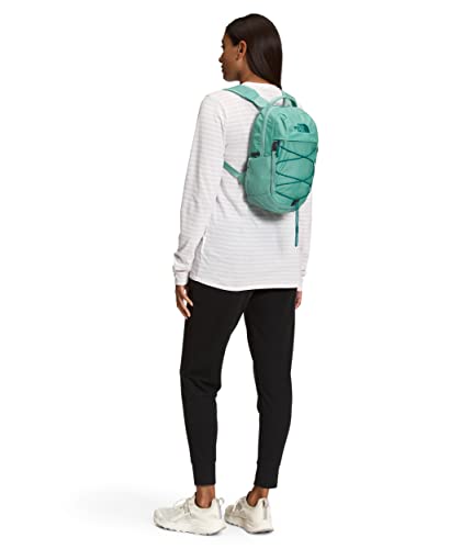The North Face unisex-adult Borealis Mini Backpack Daypack