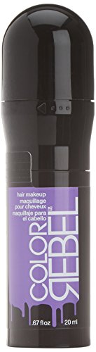 Redken rotken Color Rebel Temporary Hair Makeup, purple express, 1er Pack (1 x 20 ml)