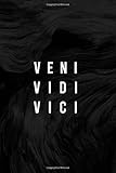  VENI VIDI VICI: Motivational Journal, Unique Notebook, Journal, Diaries, Daily Tasks, Perfect for Gifts : (120 Pages, Lined, 6 x 9)