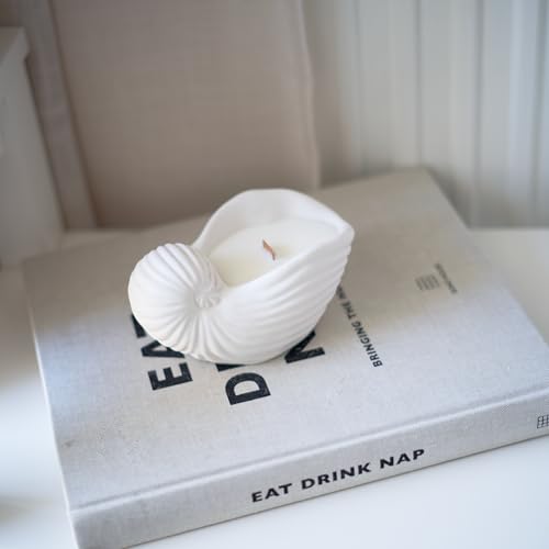 Image of Concrete Sea Shell Jar Candle | Velvet Rose Aroma | 12+Hours Burn Time | Perfect for Home Decor & Gifting (J)