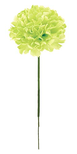 �s���G�}�t�J�[�l�[�V�����s�b�N ���C���O���[�� FLP6019LIMEHI �J�[�l�[�V�����s�b�N �J�[�l�[�V���� ��̓� ���� �s�b�N �A�[�g�t�����[ �A�����W ���G�}