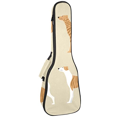 Ukulélé ténor sac étanche pour emporter votre musique en concert nomade
