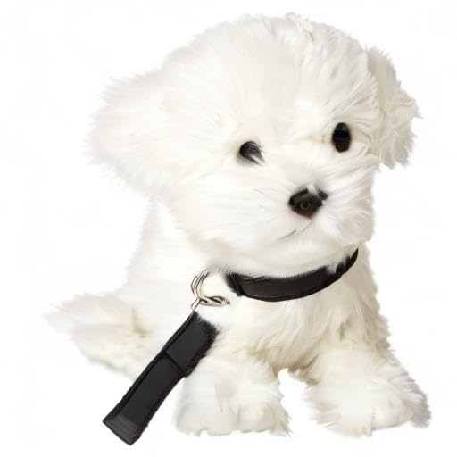 Uni-Toys - Malteser (mit Leine) - 26 cm (Länge) - Plüsch-Hund, Haustier - Plüschtier, Kuscheltier