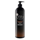CHI Pour Homme Moisturizing Daily Shampoo for Men, Sulfate-Free Hair Cleanser with Aloe Vera & Nettle, Hydrates & Fortifies for Thicker, Healthier Hair, Fresh Woody Scent, 25 oz