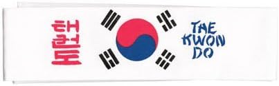 Tiger Claw Korean Flag TKD Headband - Unisex Adult, White/Blue/Red/Black, 42 inches