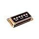 DeArmond Dynasonic Gold/Black Neck