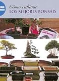 SUSAETA EDICIONES