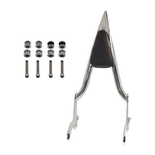 Dossier repose-passager de 22 pouces de finition supérieure pour custom Sport Glide