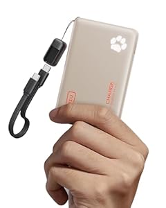 INIU Power Bank, 45W 10000mAh Powerbank Leichteste und Klein Aber Stark (USB C In & Out), PD3.0 Externe Handyakkus with Flashlight, Kompatibel mit iPhone 17 16 15 Pro Max Mini Samsung S24 S23, iPad