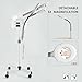 Artist hand Facial Steamer Professional 4 in 1 Hot and Cold Facial Steamer with 5X LED Magnifying Lamp, Esthetician Steamer for Facial Fast Heating, Skin Care Machine for Beauty Salon Spa Home Use