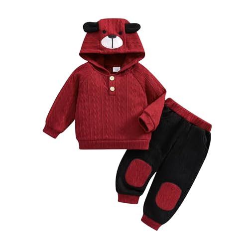 Image of ODIMAME Toddler Baby Boy Fall Winter Clothes Long Sleeve Hooded Cute Dog Sweatshirt Tops Pocket Sweatpants Cute Infant Outfit