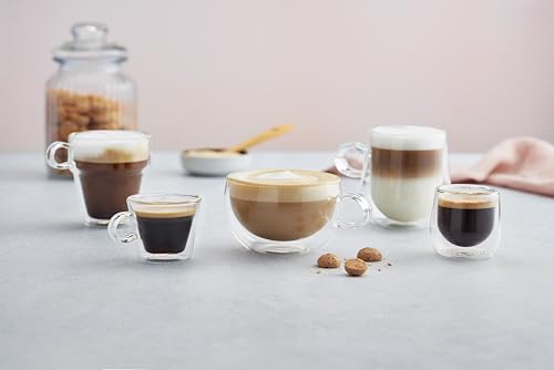 Double Walled Cappuccino Coffee Handled Cups
