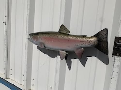 Mount This Fish Company 19" Rainbow Trout Fish Wall Mount Fish Replica Trophy, For Restaurant Owners, Vacation Homes, Outdoors and Indoors
