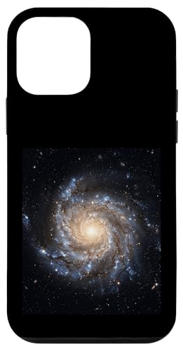 �X�p�C������͍\���V���w�V�̕����w�R���Z�v�g �X�}�z�P�[�X iPhone 12 mini �p