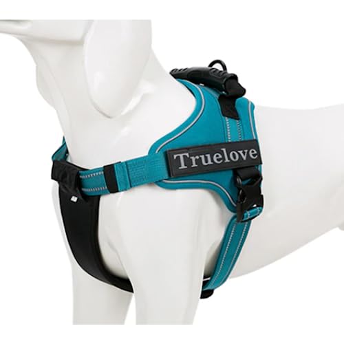 Juvendy K㗝X Truelove pn[lX  p[n[lX ȒP h~ S Blue COH꒼