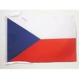 AZ FLAG