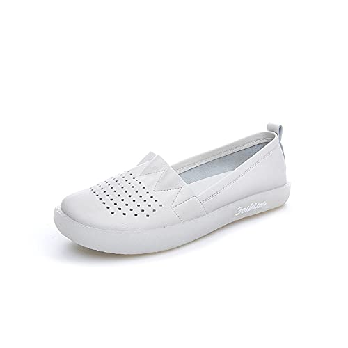 [XYJP] pvX [q[ 傫TCY F fB[X V[Y t  L  bV T_ ؂ y h _炩 ₷ Xb| RtH[g wlC 20 40 40  26.0cm