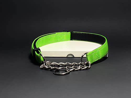 Puroayet Martingale Collar For Dogs Reflective Nylon Dog Training Collars Soft Padded No Pull Adjustable Collars Stainless Steel Chain Collar For Large/Medium/Small Dog (Green,S) #TOP4