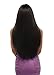 Sensationnel What Lace 13X6 Wigs - Janelle Lacefrontal Hand Tied Glueless Synthetic With Natural Density Preplucked Hairline (FLAMBOYAGECARAMEL)