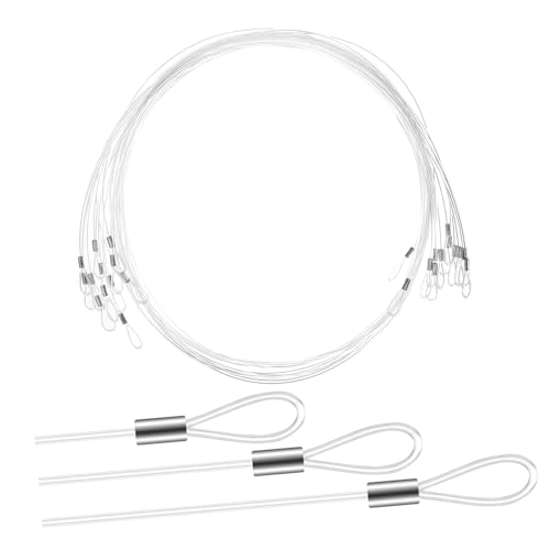 HAMPPLIES 12piezas Cuerda De Nailon Transparente para Colgar Cuadros De Paquete De Decoraciones El Hogar