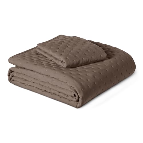 Image of Amazon Basics Brushed Microfiber Quilt Set, Extra Soft with Natural Texture, 2-Piece, Twin /Twin XL, Brown