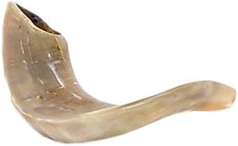 Shofar Kosher Ram Horn 8-9"