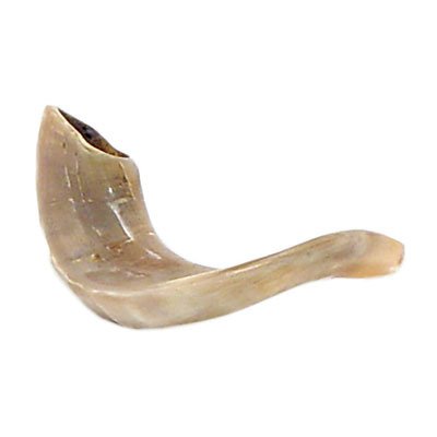 Judaica Shofar Kosher Ram Horn 8-9" Review: A Budget-Friendly Rosh Hashanah Shofar?