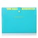 SKYDUE Portable Accordion Document File Folders Expanding Letter Organizer, 8 Pockets (Blue)