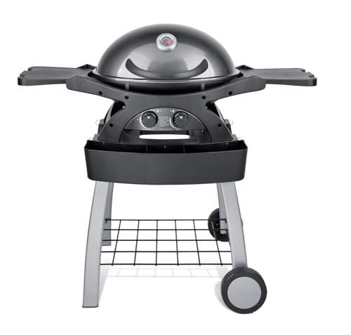 Barbecue a Gas GPL 2 Fuochi 5,2kW 2 Ripiani con Carrello Twin Grill Grigio