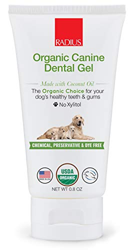 RADIUS USDA Organic Dental Solutions Adult Kit Toothbrush & Toothpaste | Firm Bristle & Non Toxic Toothpaste for Dogs | Designed to Clean Teeth and Help Prevent Tartar and Remove Plaque | Xylitol Free