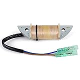  TERAM LOISIRS Stator Accensione compatibile per Yamaha 9.9HP 9.9F WHS/L 2000 2001 2002