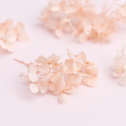 The Baked Studio - Original Dried Flower Hydrangea Set For Cake & Cupcake Decorating & Others Crafts (Dusky Peach) - Image 3