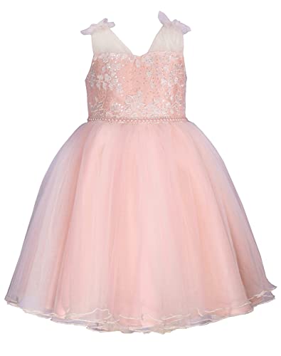 Bonnie Jean Girls 2T-16 Pink Tulle Ivory Embroidered Ballerina Dress