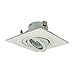 Nora Lighting NL-4865WW 4 in. Square Surface Adjustable Trim, White