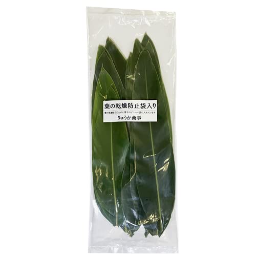 Amazon.co.jp: 沖縄産 月桃の葉20枚セット（未洗浄） : 食品・飲料・お酒