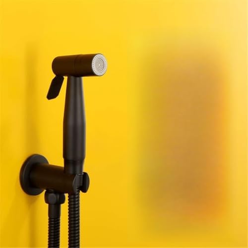Douche bidet shattaf noir en acier inoxydable 304 pour toilettes WC LWX