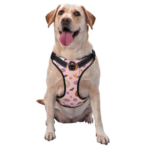 Dreamy Bat Creature Reflective Dog Harness X-Large