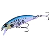 DUO(デュオ) ルアー テトラワークス トト48HS LG透けイワシ CCC0475