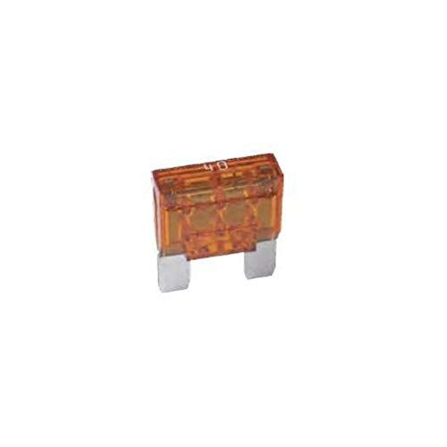 Fusible MAX 60 Amp Bussmann BP/MAX60RP ampères pour bloc de distribution électrique auto