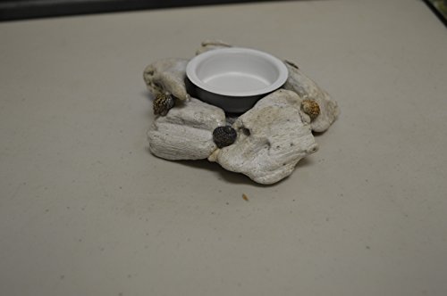 Nautical Tropical Imports Drift Wood And Sea Shells Tea Light Candle Holder Home Decor 2 Inch H #TOP3