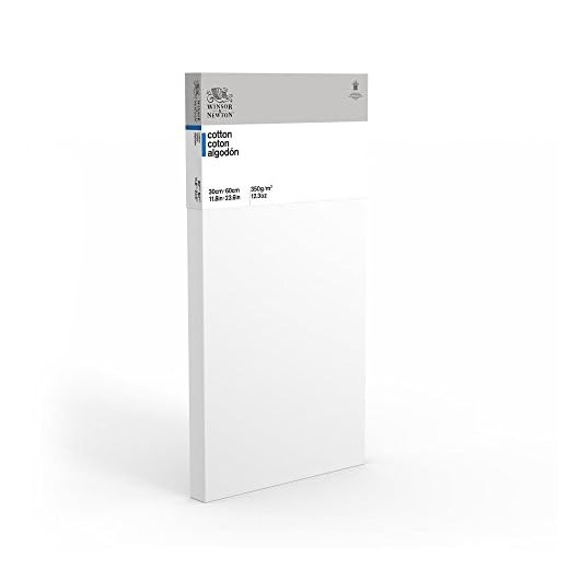 Winsor & Newton 6201134 - Bastidor de camilla "Classic", triple imprimación, 350 g / m², grosor de la tira 35 mm, algodón - Deep Edge - 30 x 60 cm