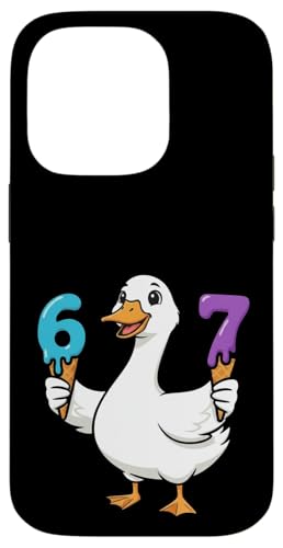 67 VbNXZu ACXN[hbv t@j[O[X X}zP[X iPhone 14 Pro p